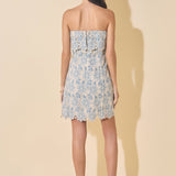 Bust Panel Embroidered Mini Dress